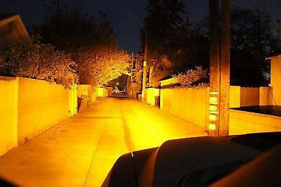 2017-2020 Ford Raptor Gen 2 Dual 40s Light Bars