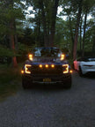 2017-2020 Ford Raptor Gen 2 Hood Mount/Ditch Lights/Pillars