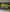 2024+ Toyota Land Cruiser Dual 30s Light Bars - PRO