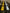2024+ Toyota Land Cruiser Dual 30s Light Bars - PRO