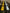 2024+ Toyota Land Cruiser Dual 30s Light Bars - PRO