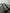 2024+ Toyota Land Cruiser Dual 30s Light Bars - PRO