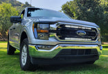 2021-2023 Ford F150 Dual 30s Light Bars